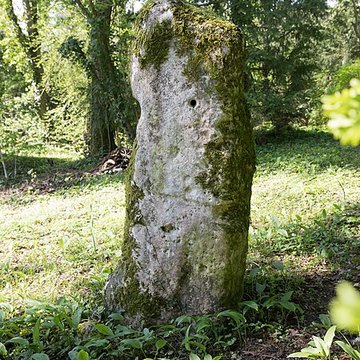 Menhir de Woinville à Buxières-sous-les-Côtes