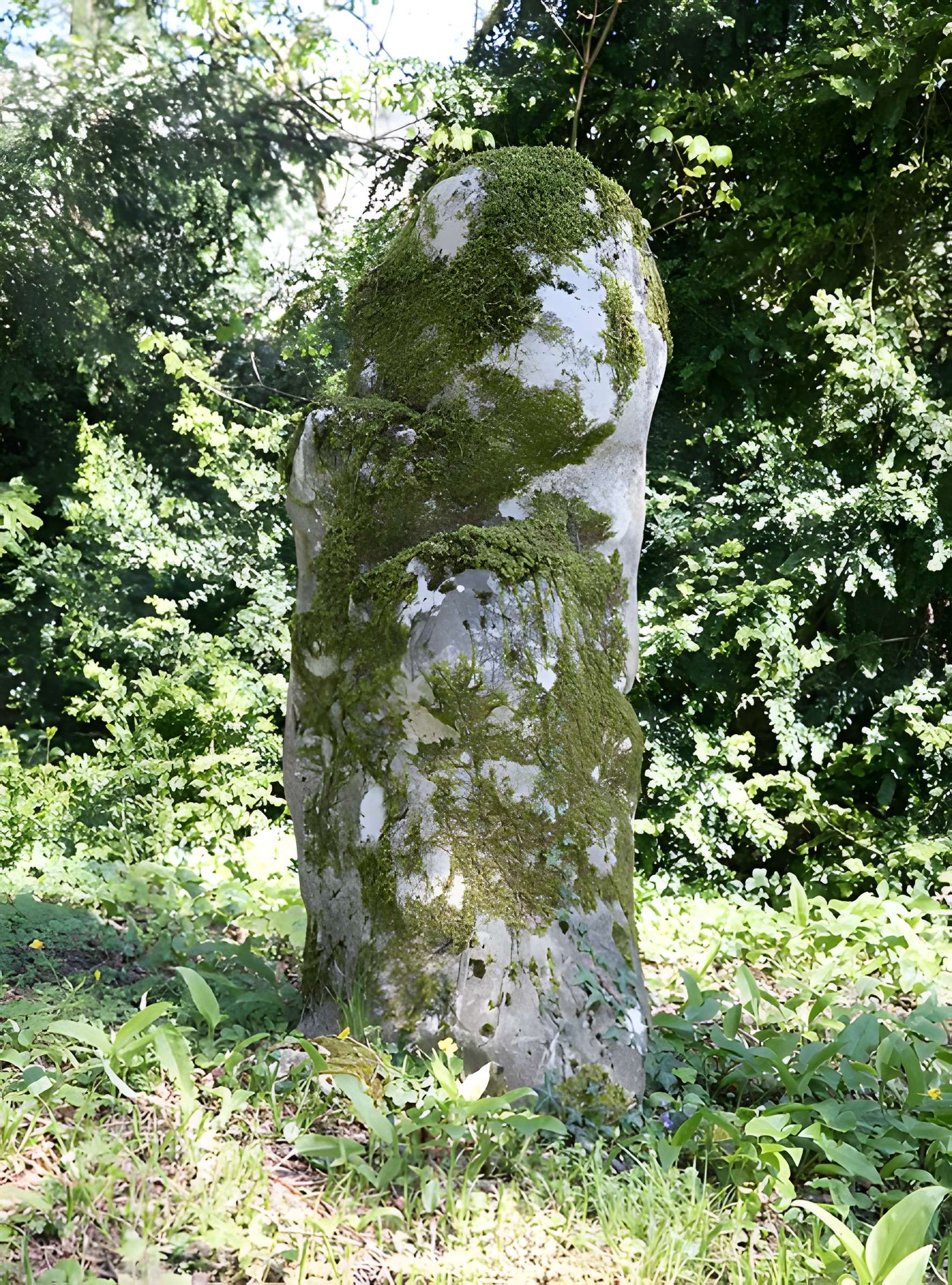 Menhir de Woinville à Buxières-sous-les-Côtes