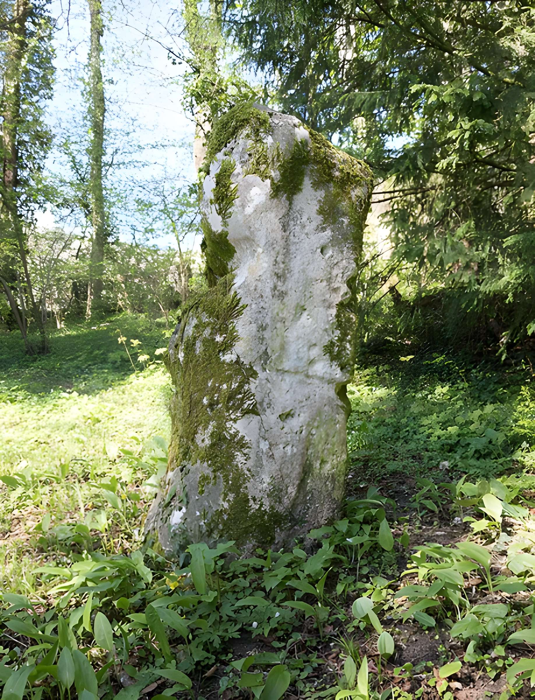 Menhir de Woinville à Buxières-sous-les-Côtes