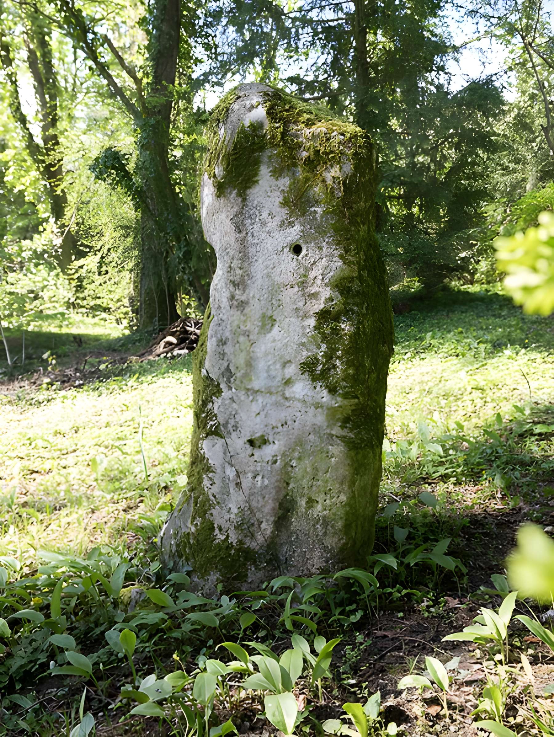 Menhir de Woinville à Buxières-sous-les-Côtes