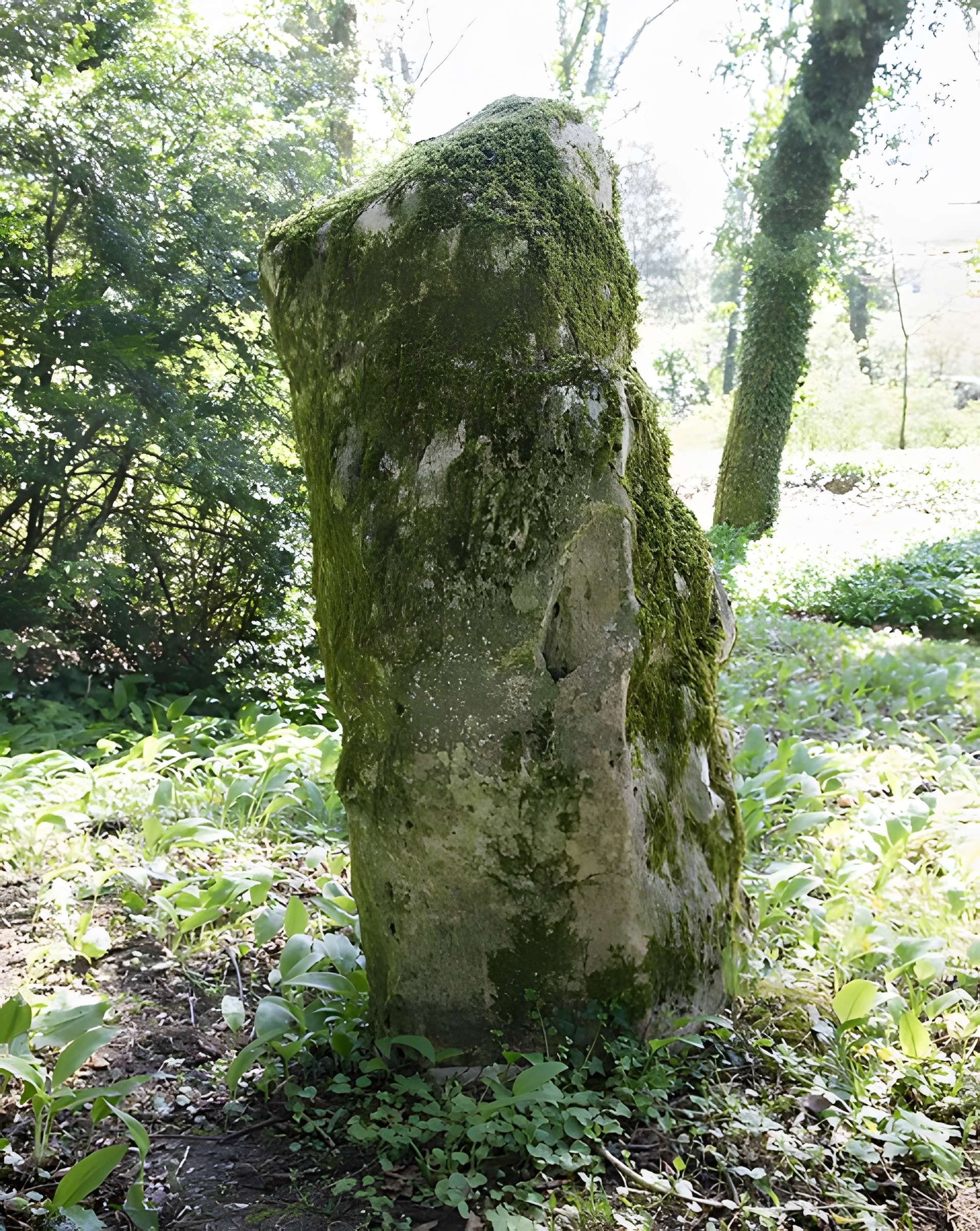 Menhir de Woinville à Buxières-sous-les-Côtes