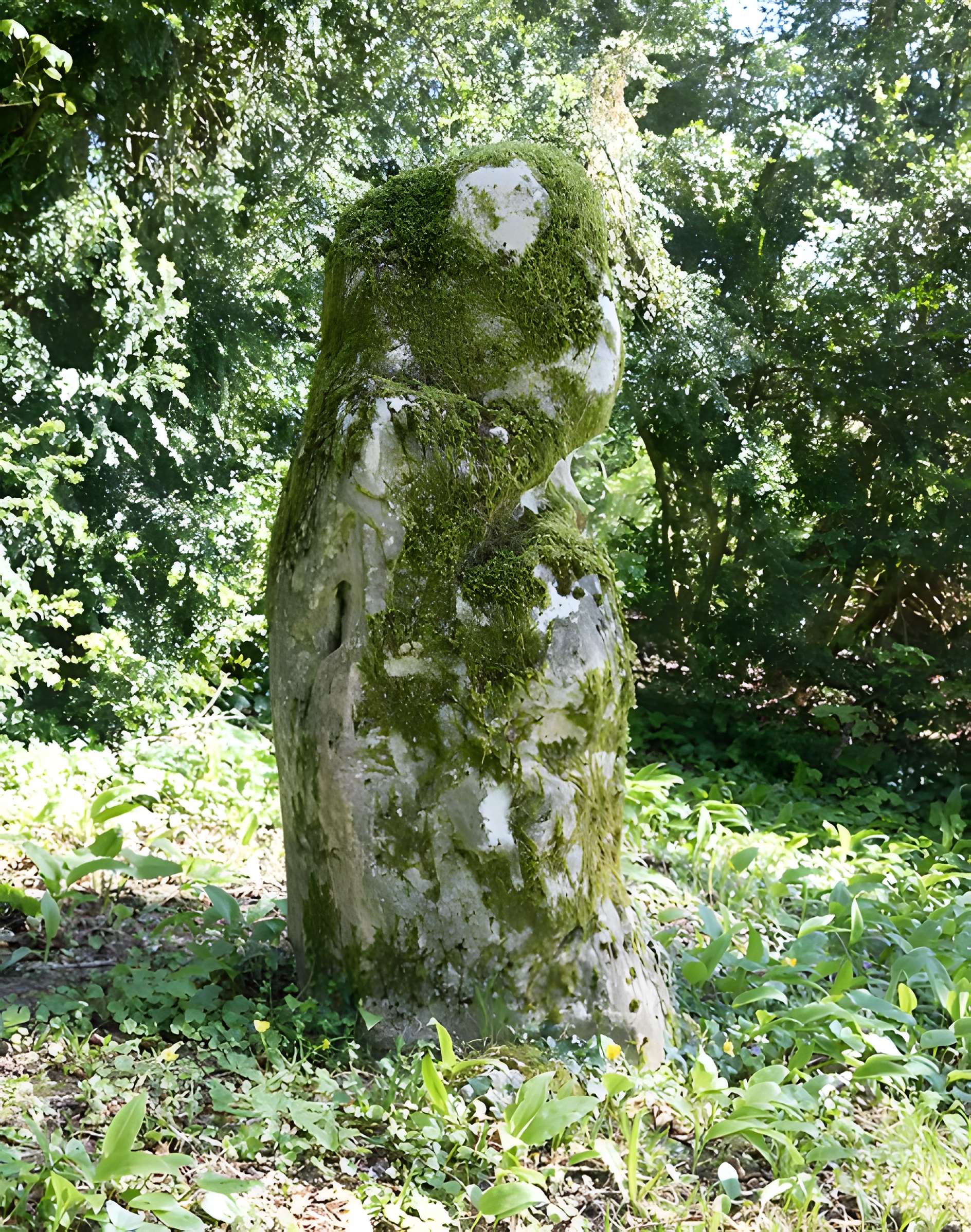 Menhir de Woinville à Buxières-sous-les-Côtes
