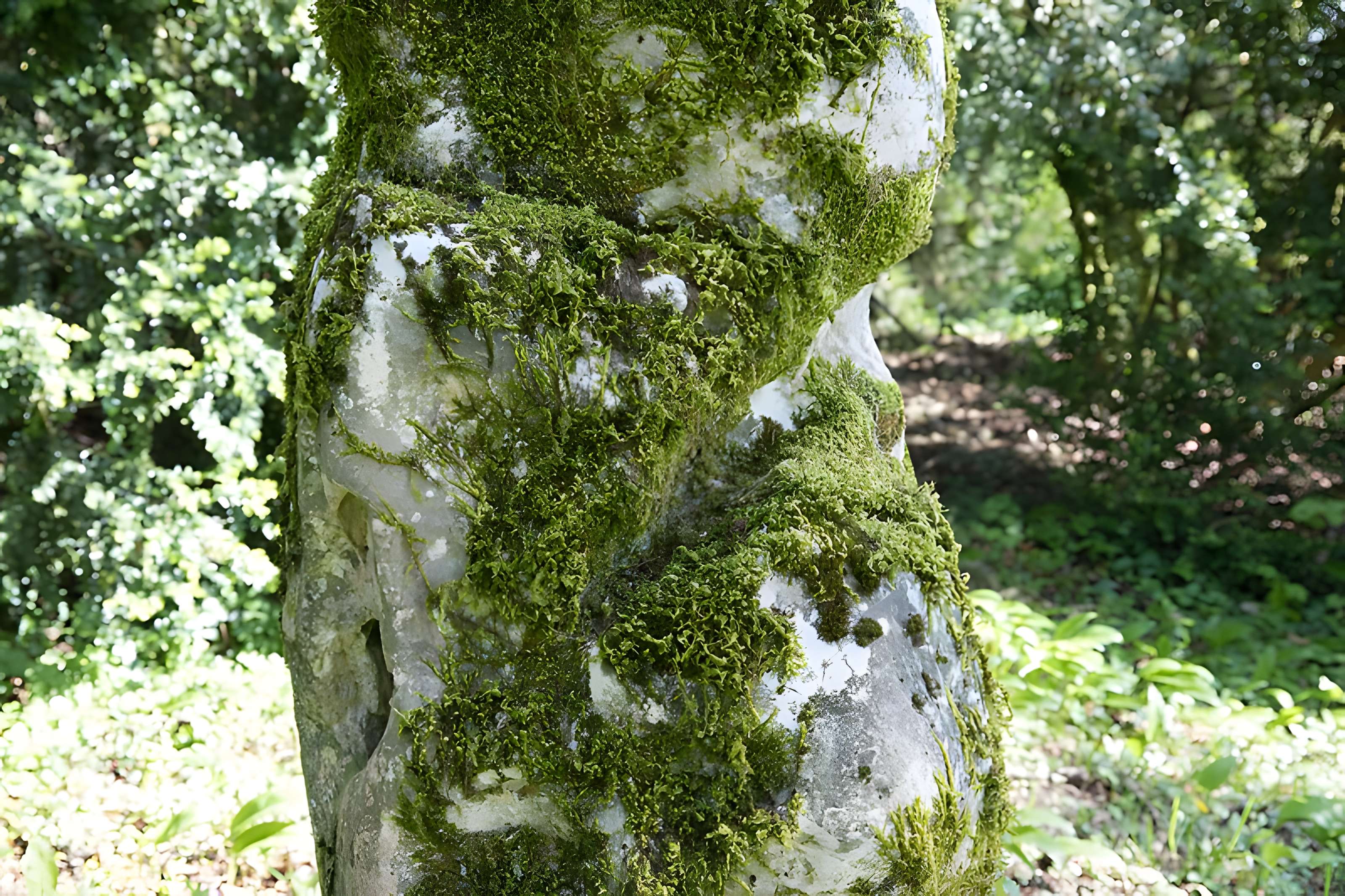 Menhir de Woinville à Buxières-sous-les-Côtes