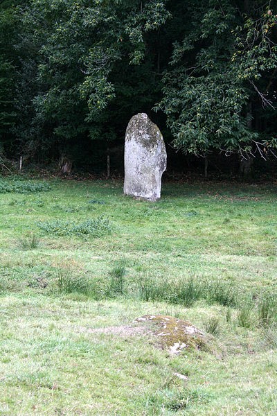 Photo de Menhir des Fichades de Fromental