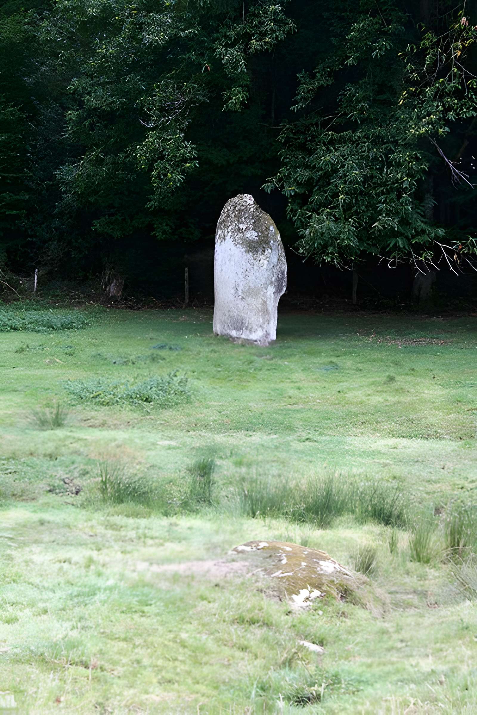 Menhir des Fichades de Fromental 