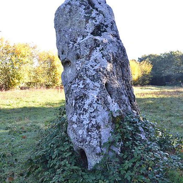 Photo de Menhir des Louères de Saint-Aubin-des-Châteaux