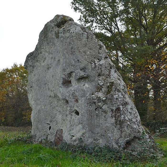 Photo de Menhir des Louères de Saint-Aubin-des-Châteaux
