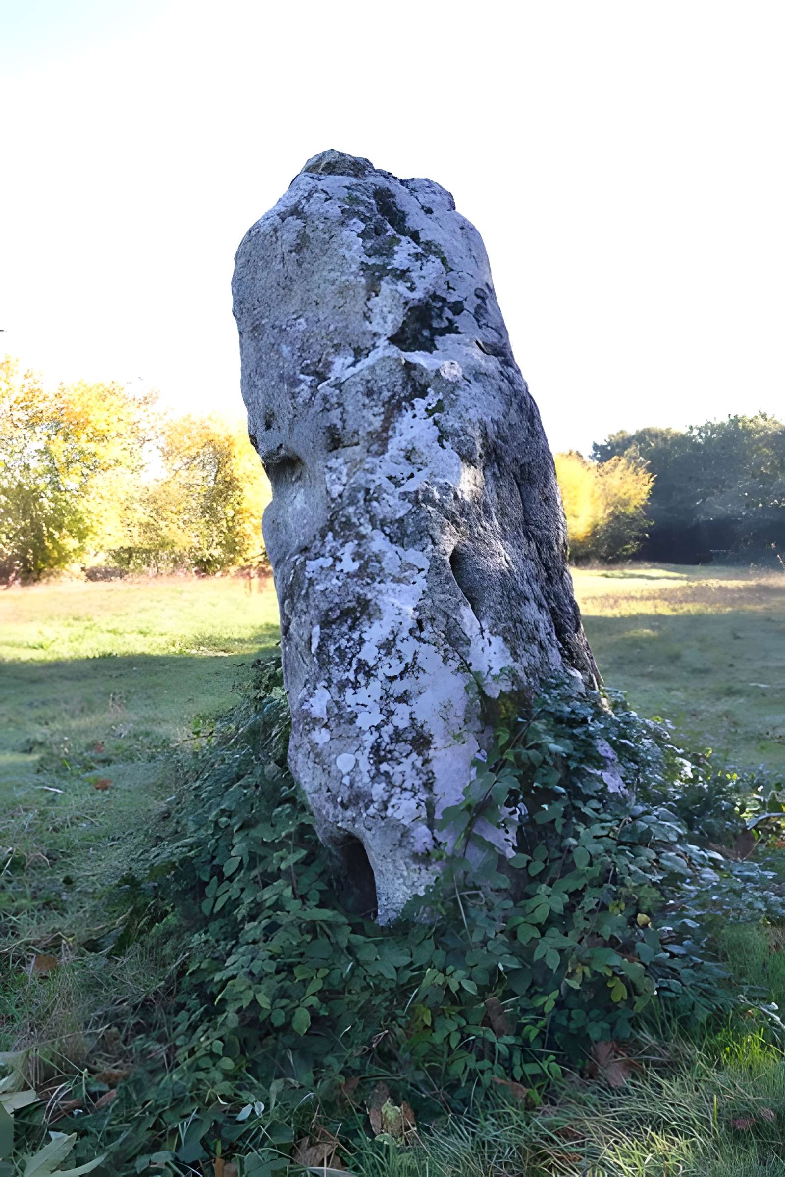 Menhir des Louères de Saint-Aubin-des-Châteaux