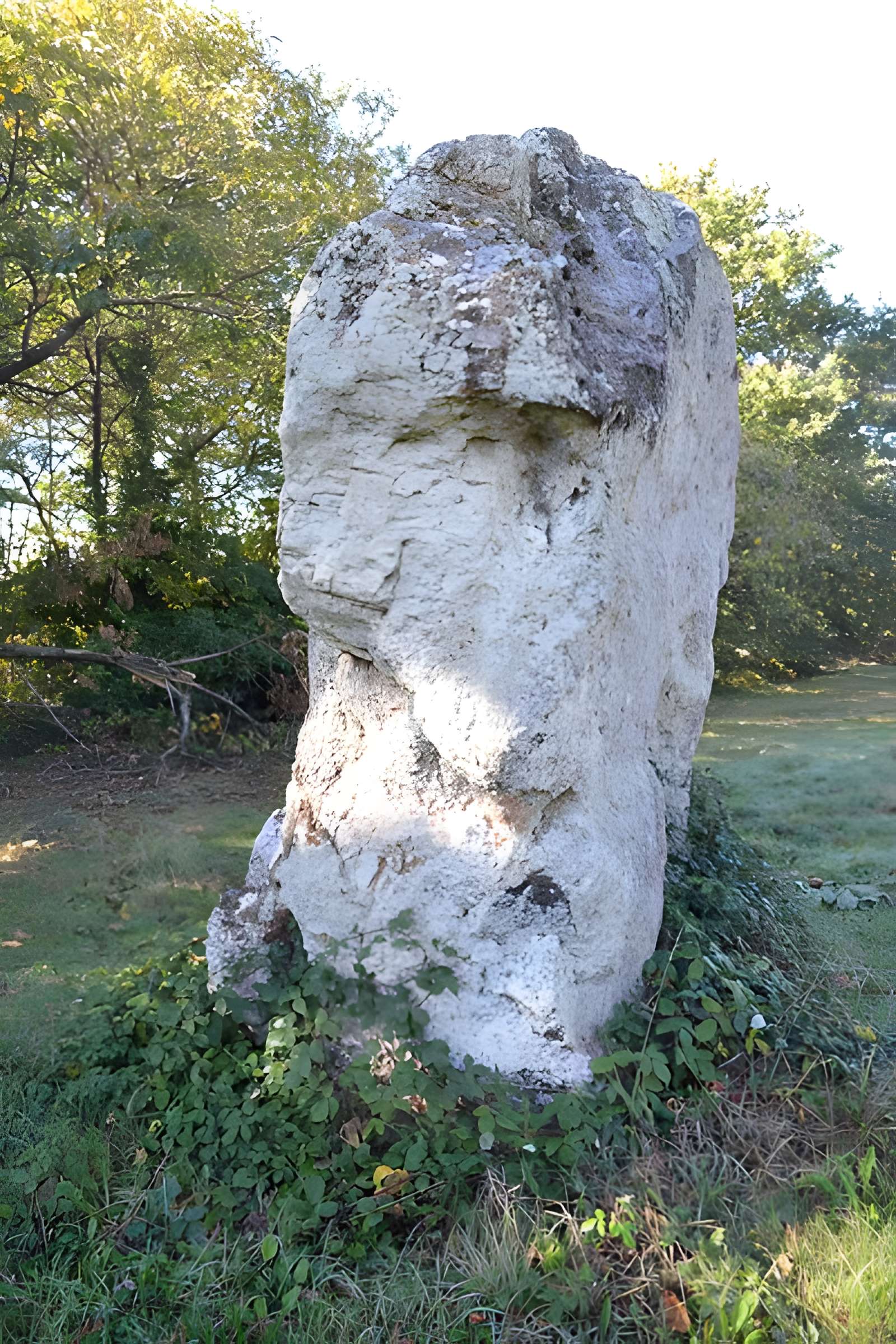 Menhir des Louères de Saint-Aubin-des-Châteaux