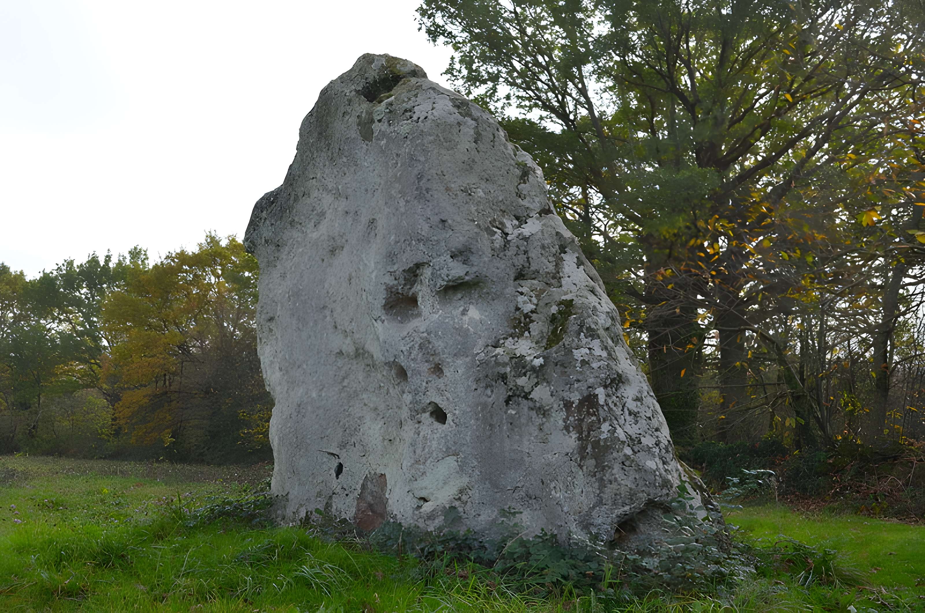Menhir des Louères de Saint-Aubin-des-Châteaux