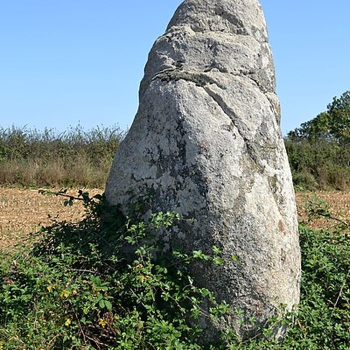 Photo de Menhir des Petites Jaunières au Givre