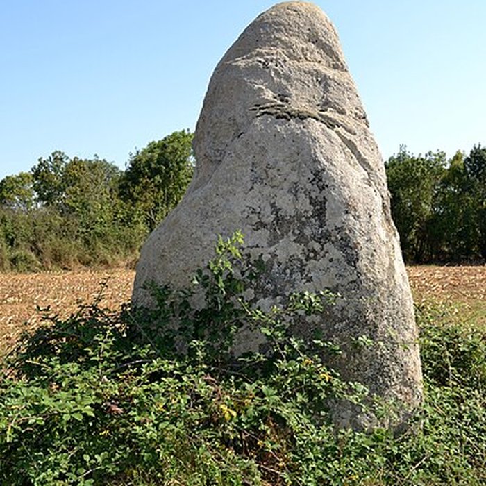 Photo de Menhir des Petites Jaunières au Givre
