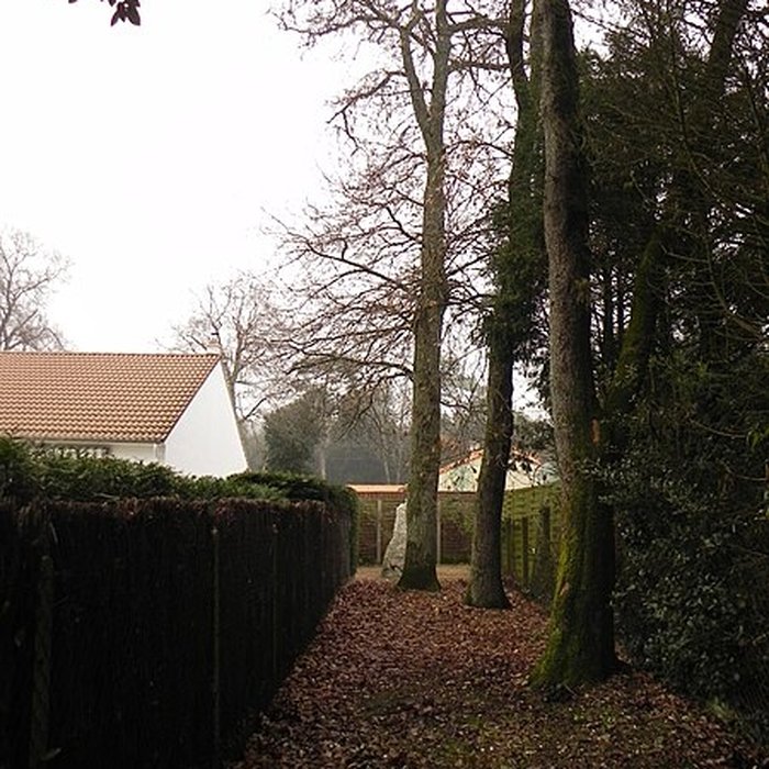 Photo de Menhir des Pierres Couchées de Saint-Brevin-les-Pins