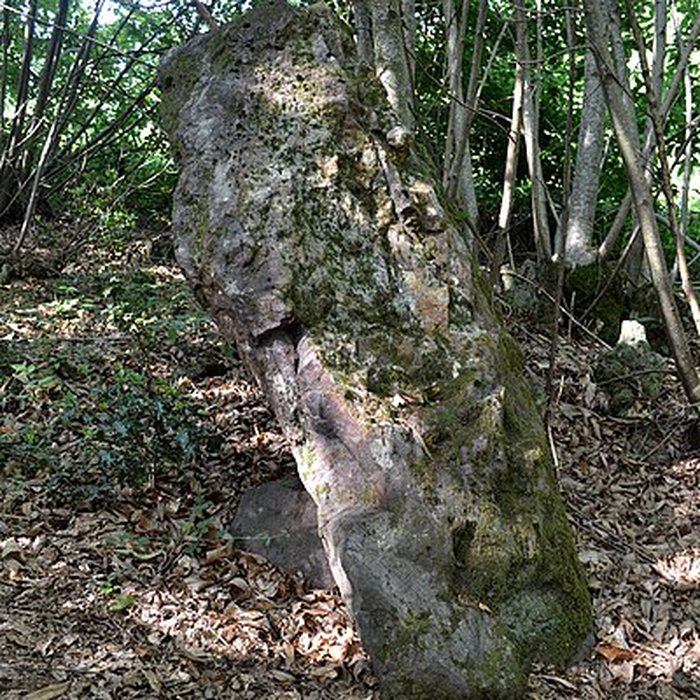 Photo de Menhir des Pierres Velières de Rougé