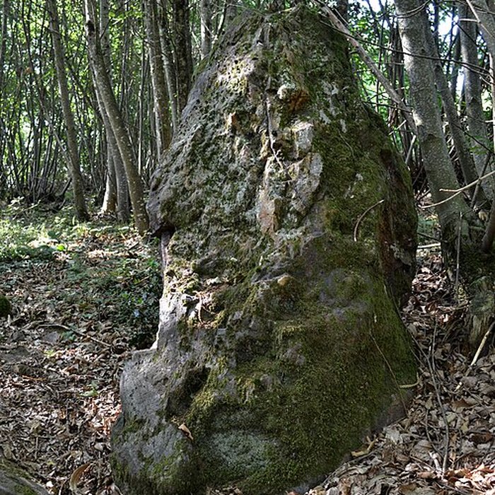 Photo de Menhir des Pierres Velières de Rougé