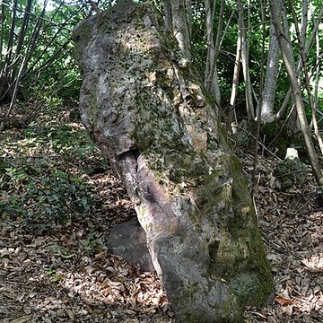 Menhir des Pierres Velières de Rougé