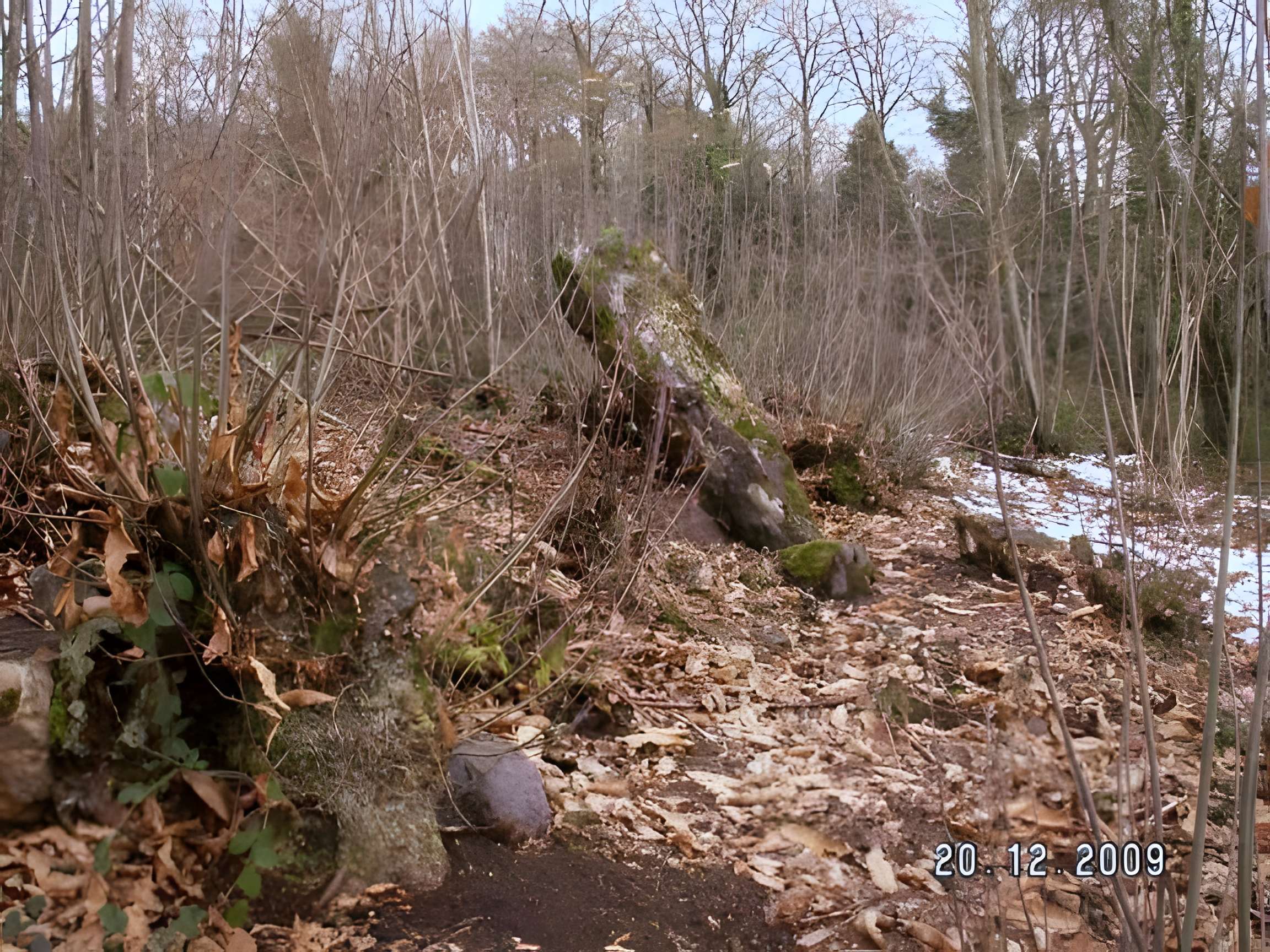 Menhir des Pierres Velières de Rougé