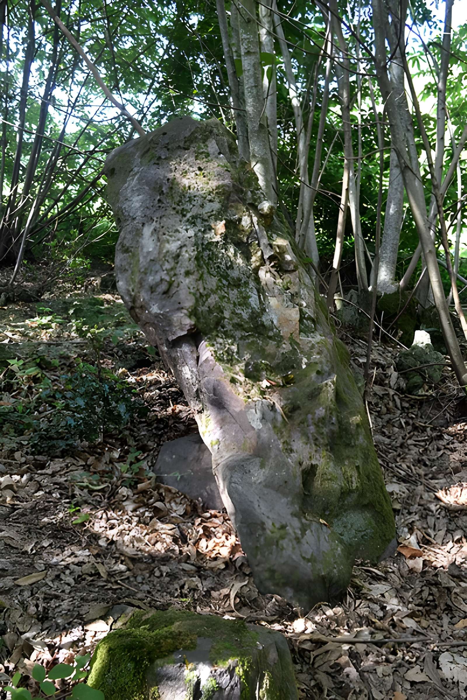 Menhir des Pierres Velières de Rougé