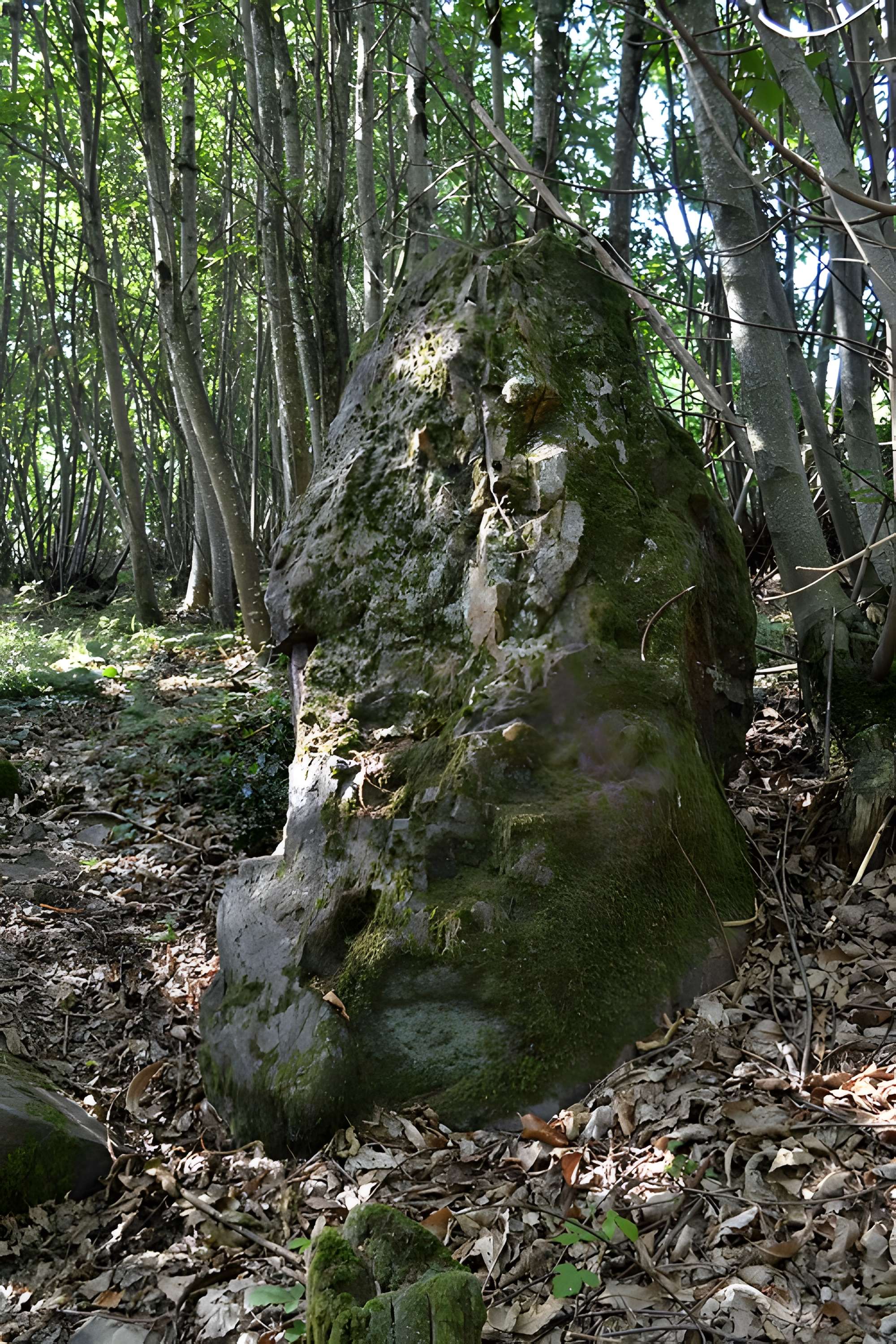 Menhir des Pierres Velières de Rougé
