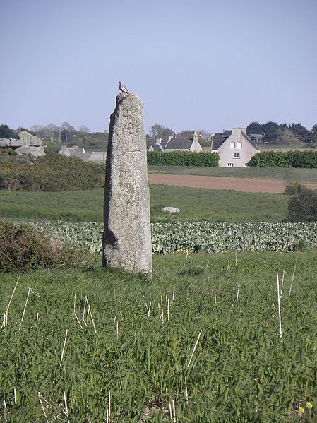 Photo de Menhir d'Irvit de Plouescat