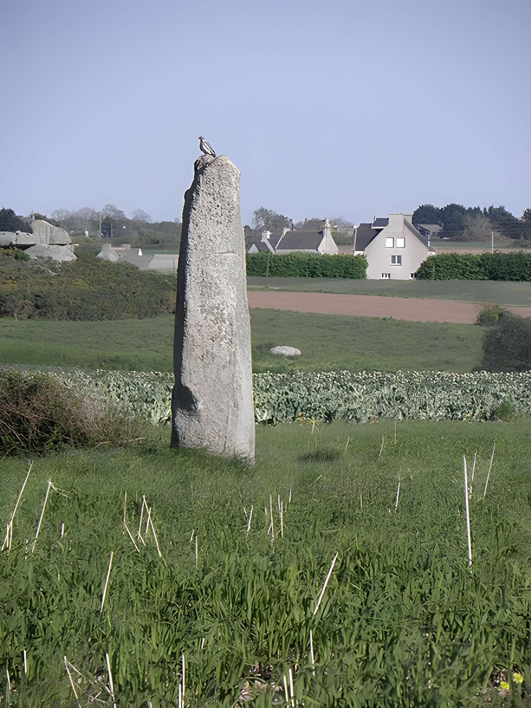 Menhir d'Irvit de Plouescat