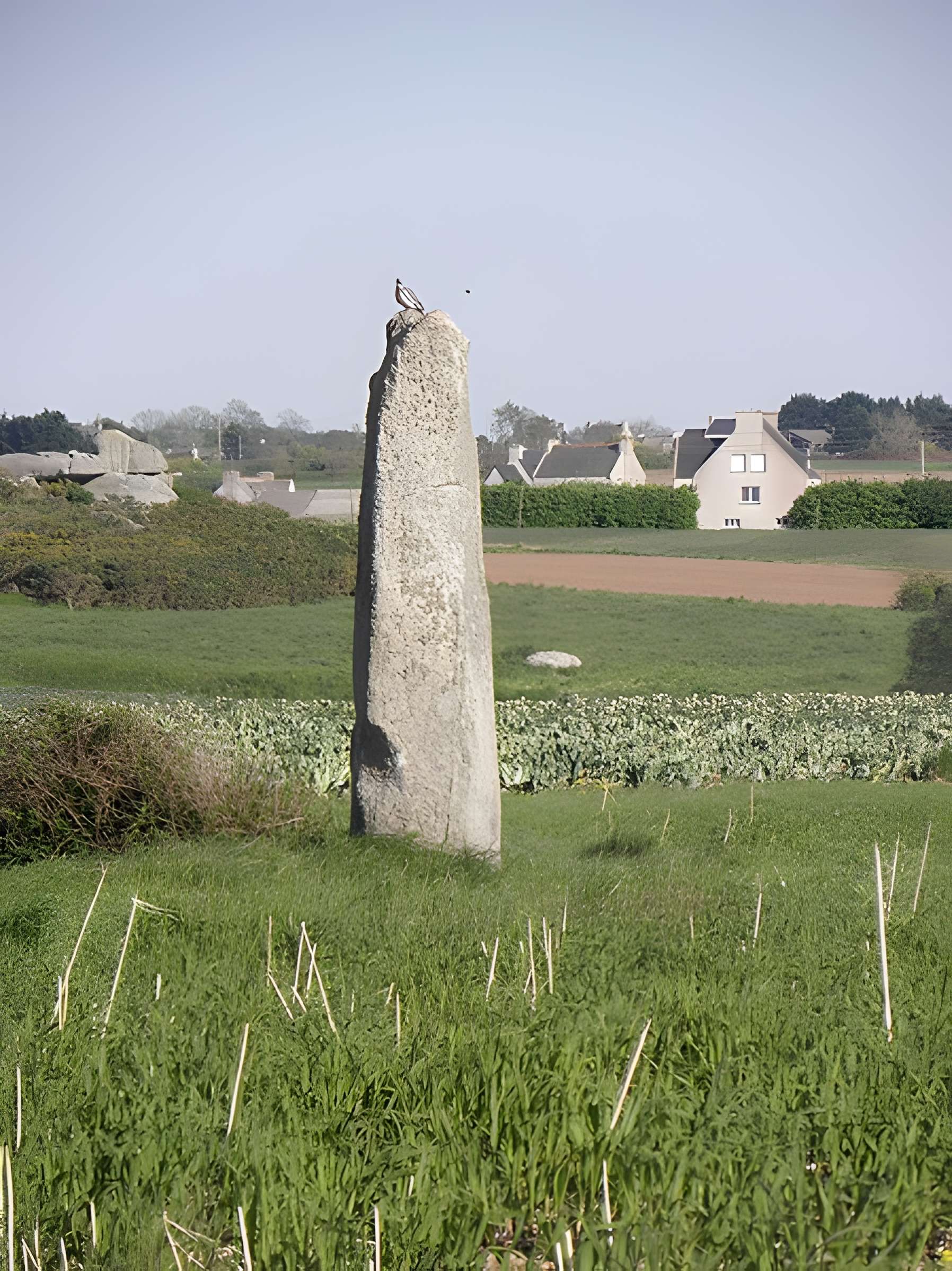 Menhir d'Irvit de Plouescat