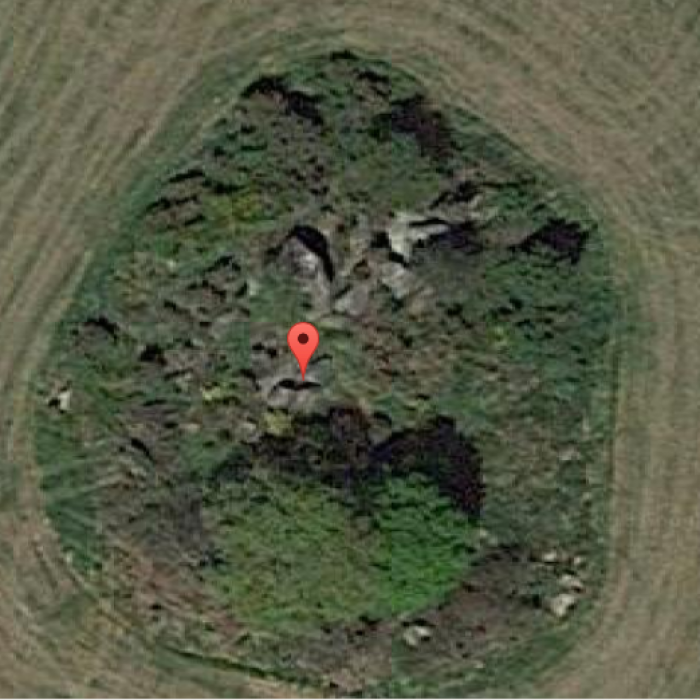 Photo de Menhir dit La Haute-Borne de Saint-Germain-sur-Moine