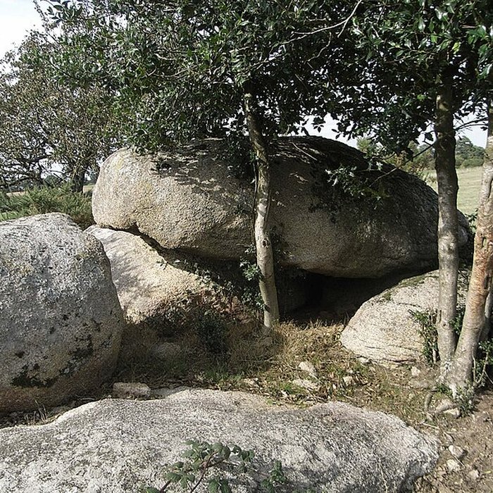 Photo de Menhir dit La Haute-Borne de Saint-Germain-sur-Moine