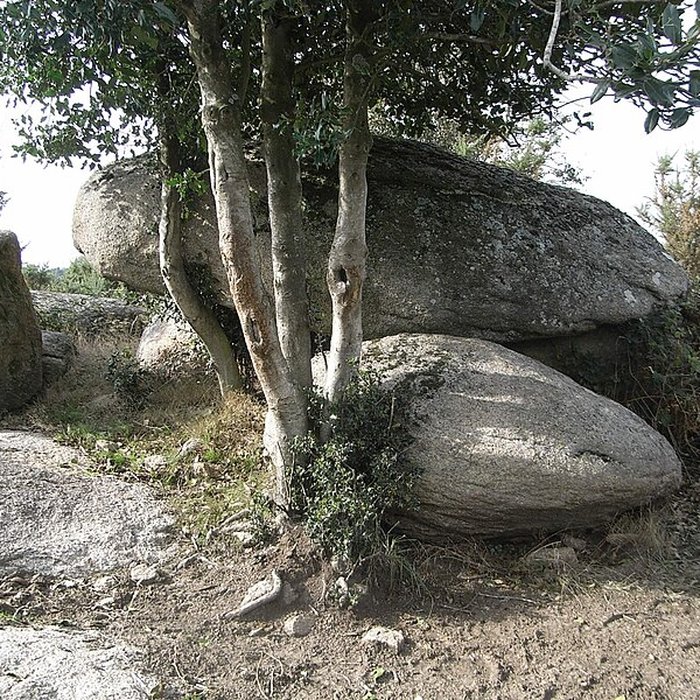 Photo de Menhir dit La Haute-Borne de Saint-Germain-sur-Moine