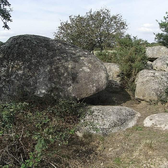 Photo de Menhir dit La Haute-Borne de Saint-Germain-sur-Moine
