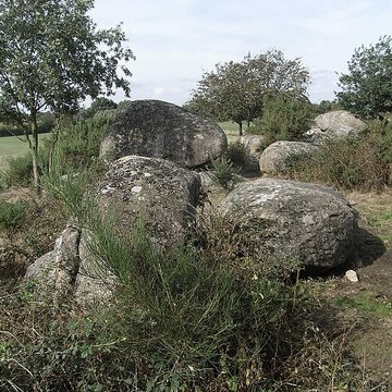Menhir dit La Haute-Borne de Saint-Germain-sur-Moine