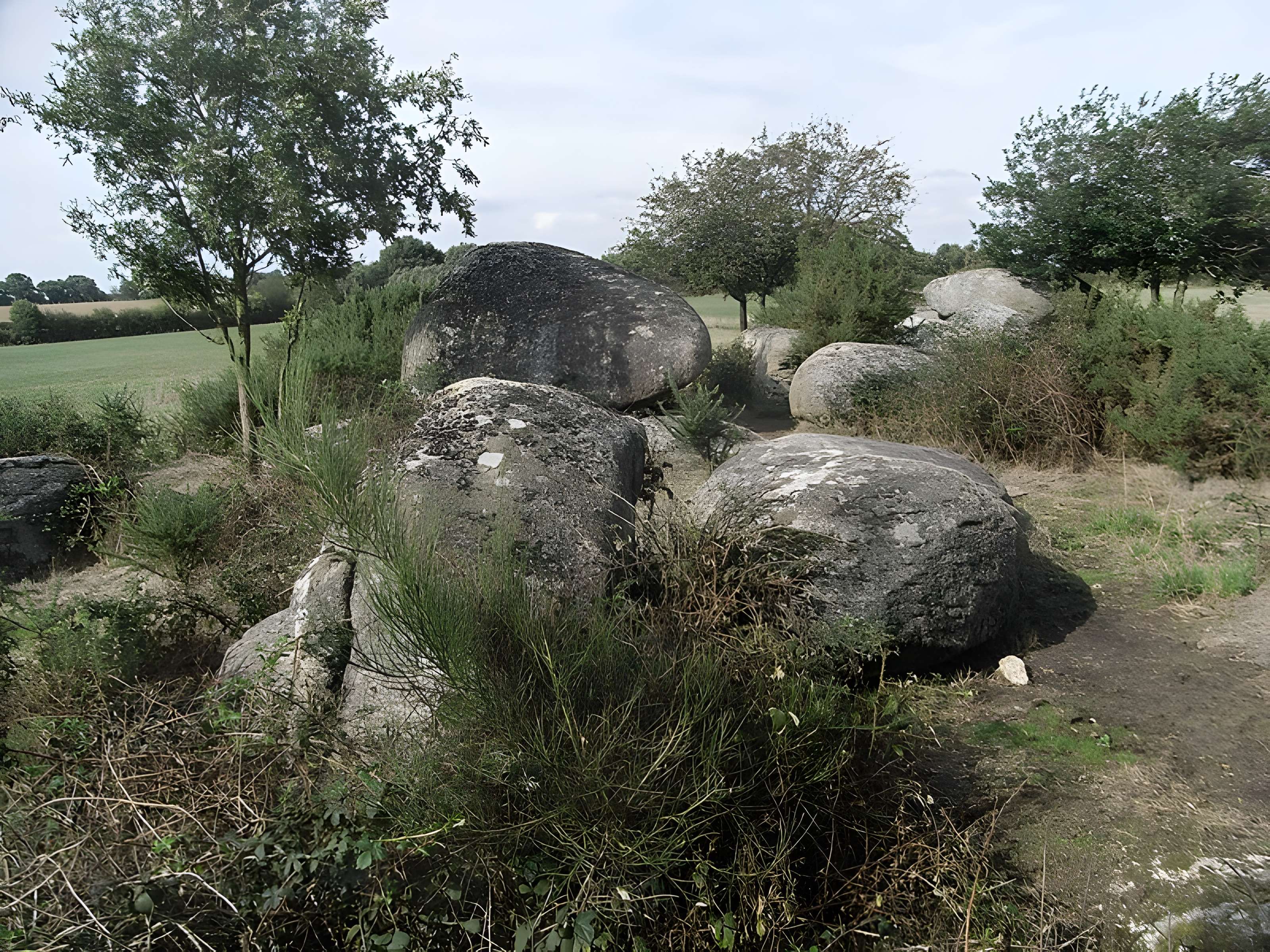 Menhir dit La Haute-Borne de Saint-Germain-sur-Moine