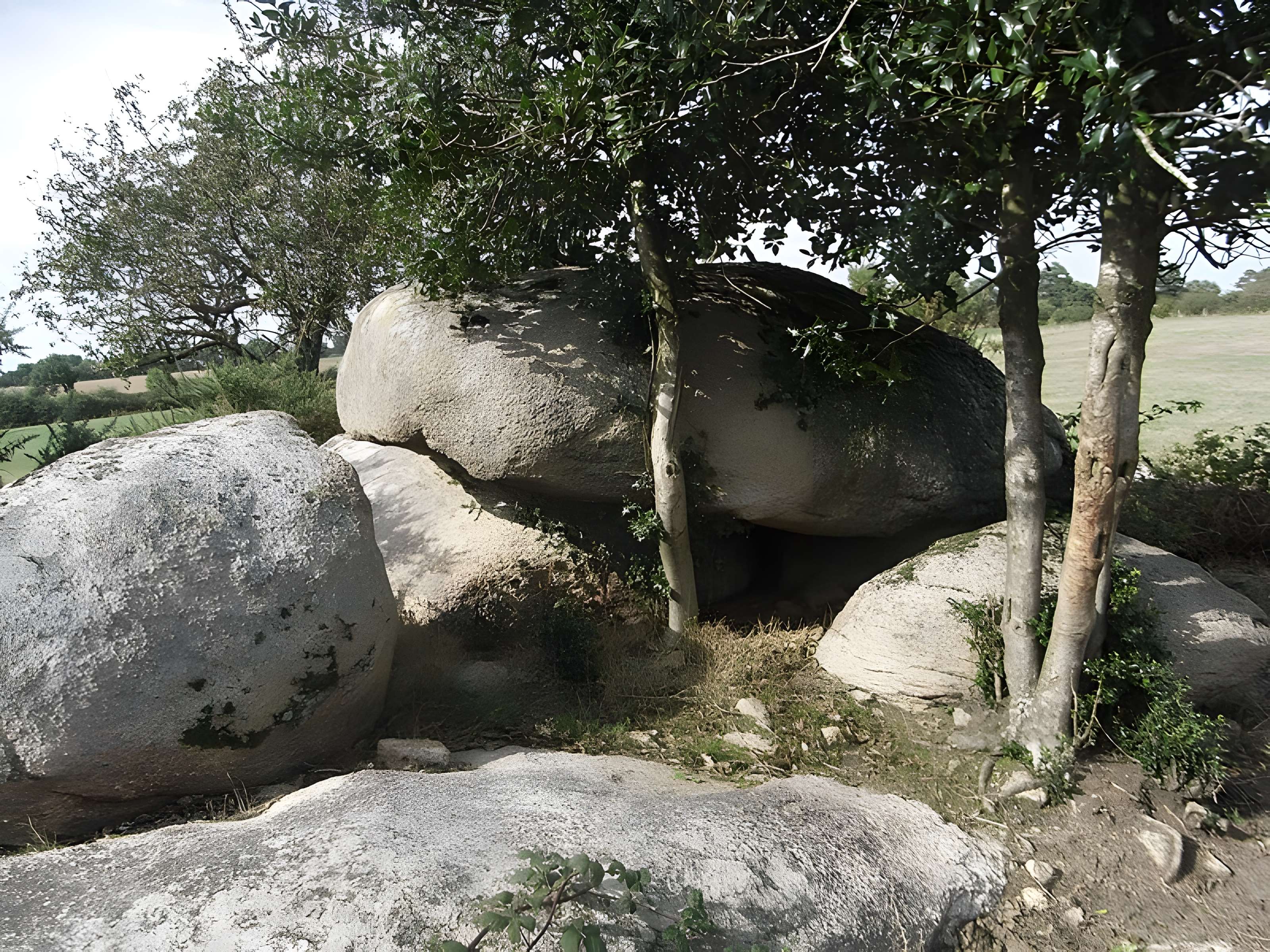 Menhir dit La Haute-Borne de Saint-Germain-sur-Moine