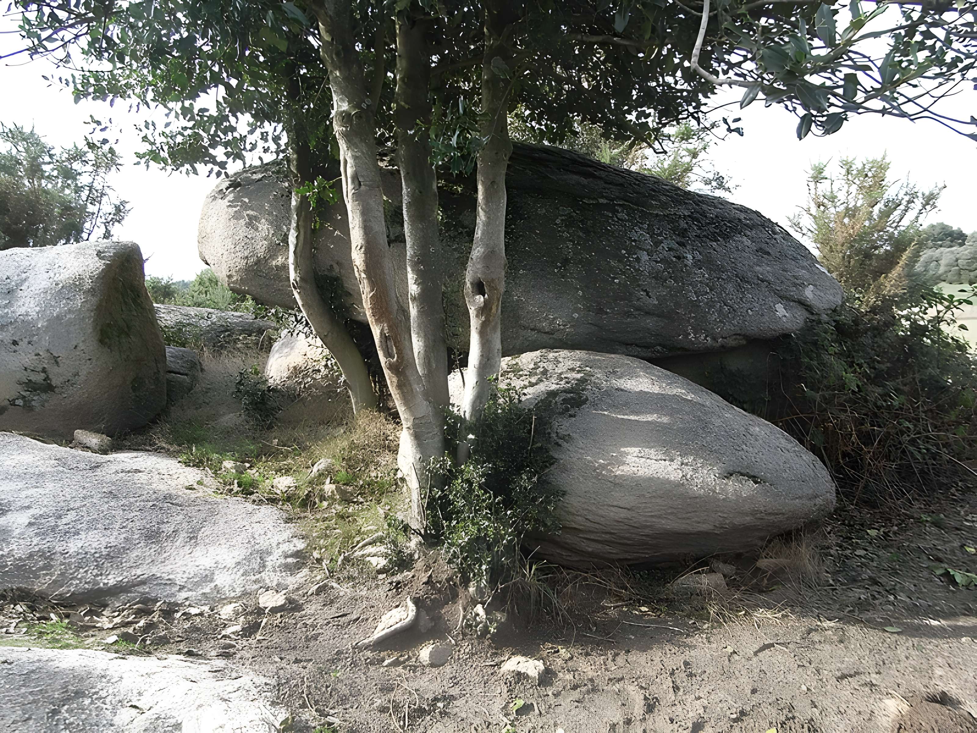 Menhir dit La Haute-Borne de Saint-Germain-sur-Moine