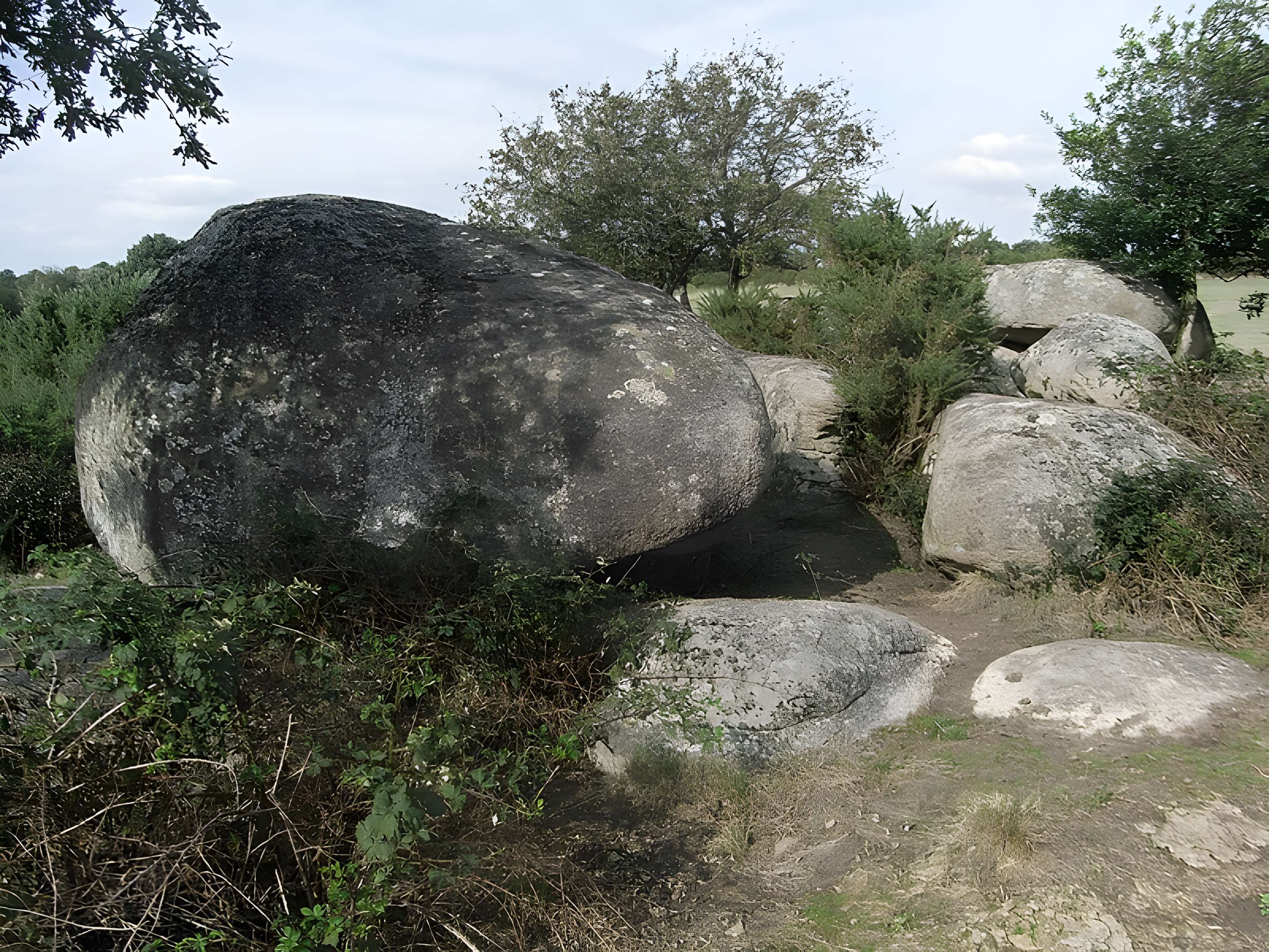Menhir dit La Haute-Borne de Saint-Germain-sur-Moine