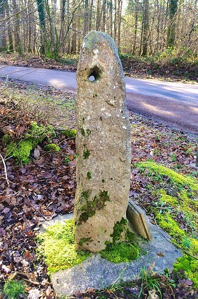 Photo de Menhir dit La Haute-Borne ou La Borne-Percée de Noé