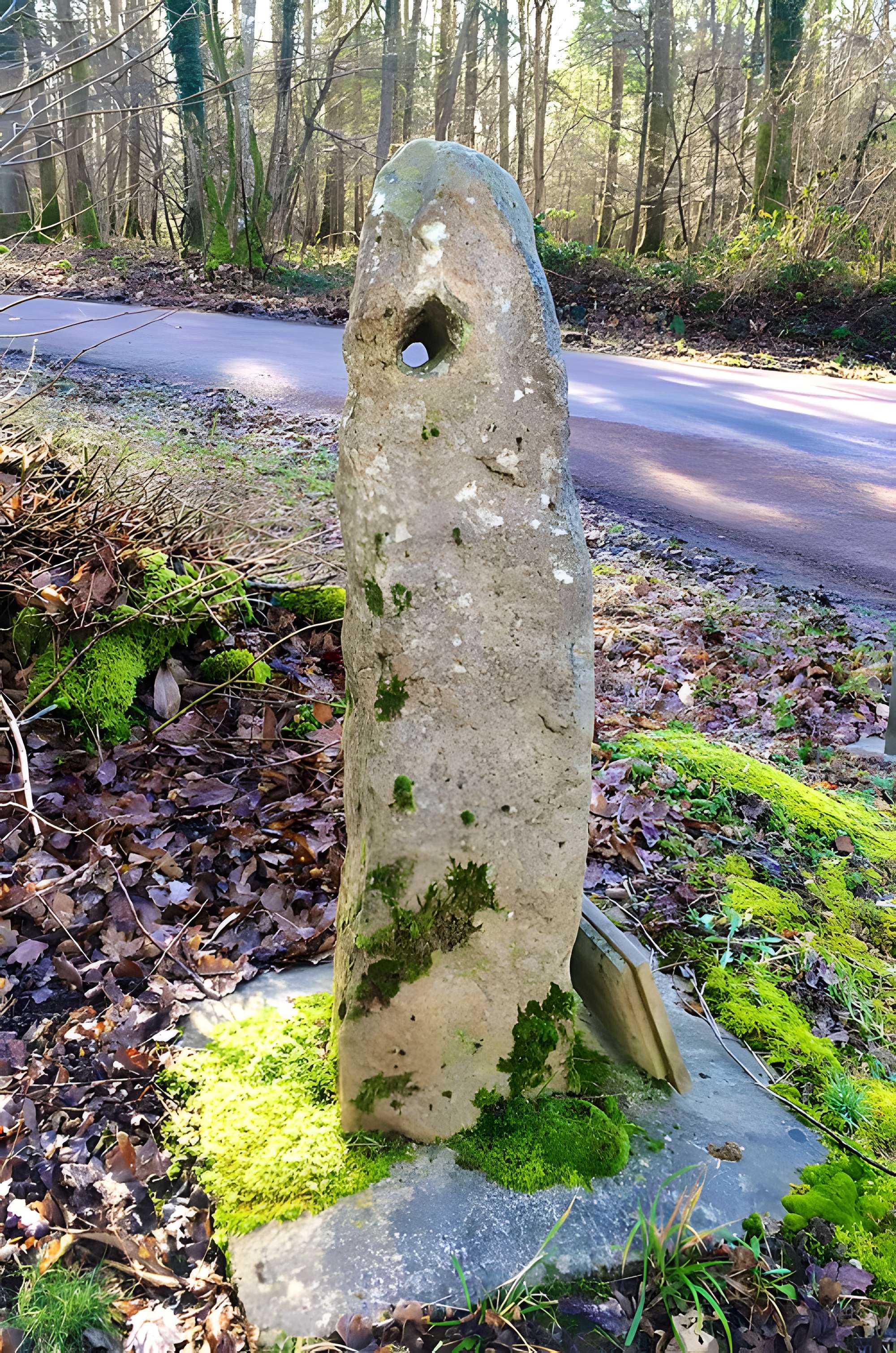 Menhir dit La Haute-Borne ou La Borne-Percée de Noé