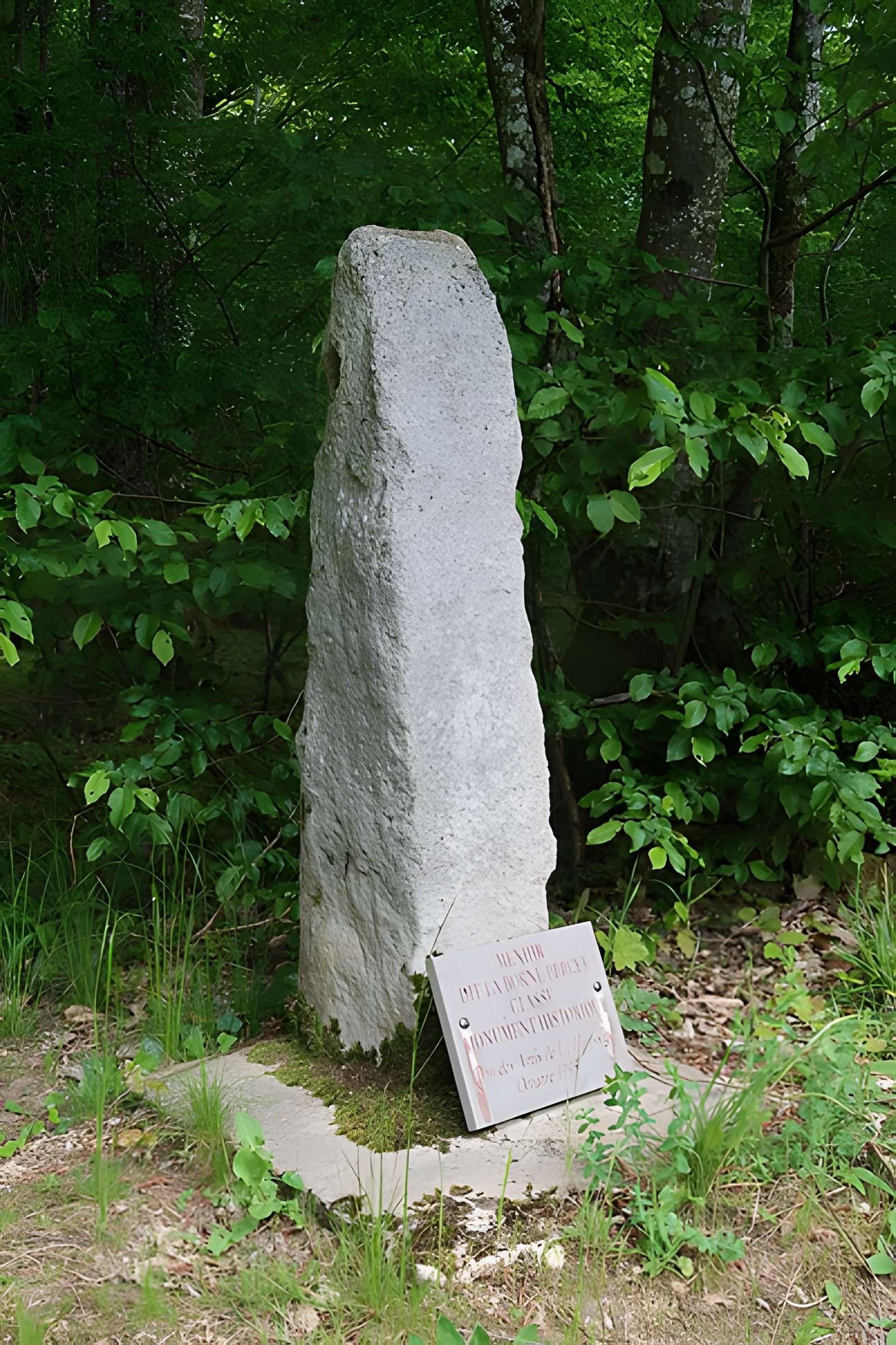 Menhir dit La Haute-Borne ou La Borne-Percée de Noé