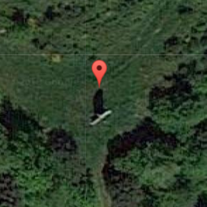 Photo de Menhir dit La Minche du Diable de Vairé