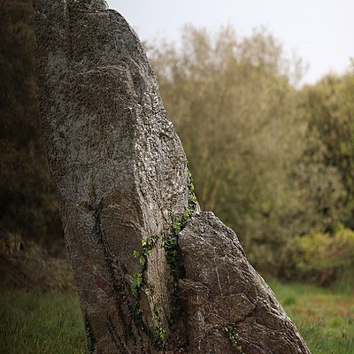 Photo de Menhir dit La Minche du Diable de Vairé