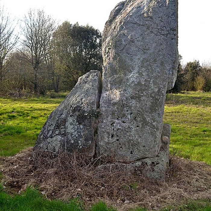 Photo de Menhir dit La Minche du Diable de Vairé