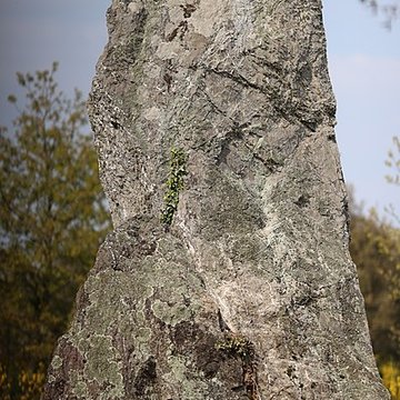 Menhir dit La Minche du Diable de Vairé