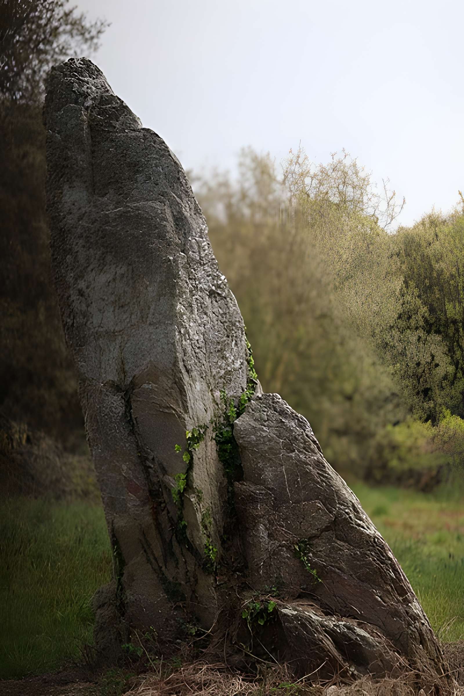 Menhir dit La Minche du Diable de Vairé