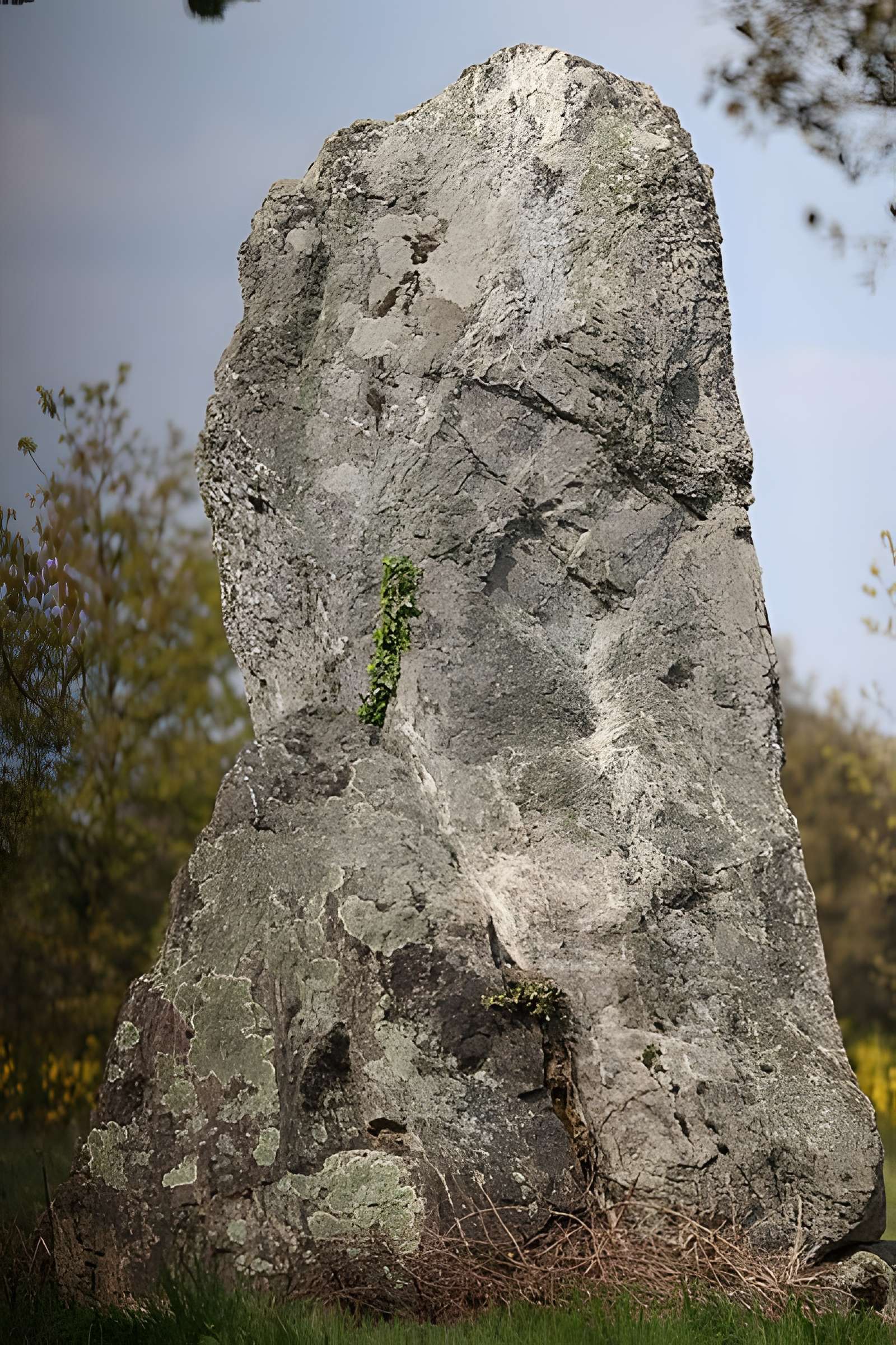 Menhir dit La Minche du Diable de Vairé