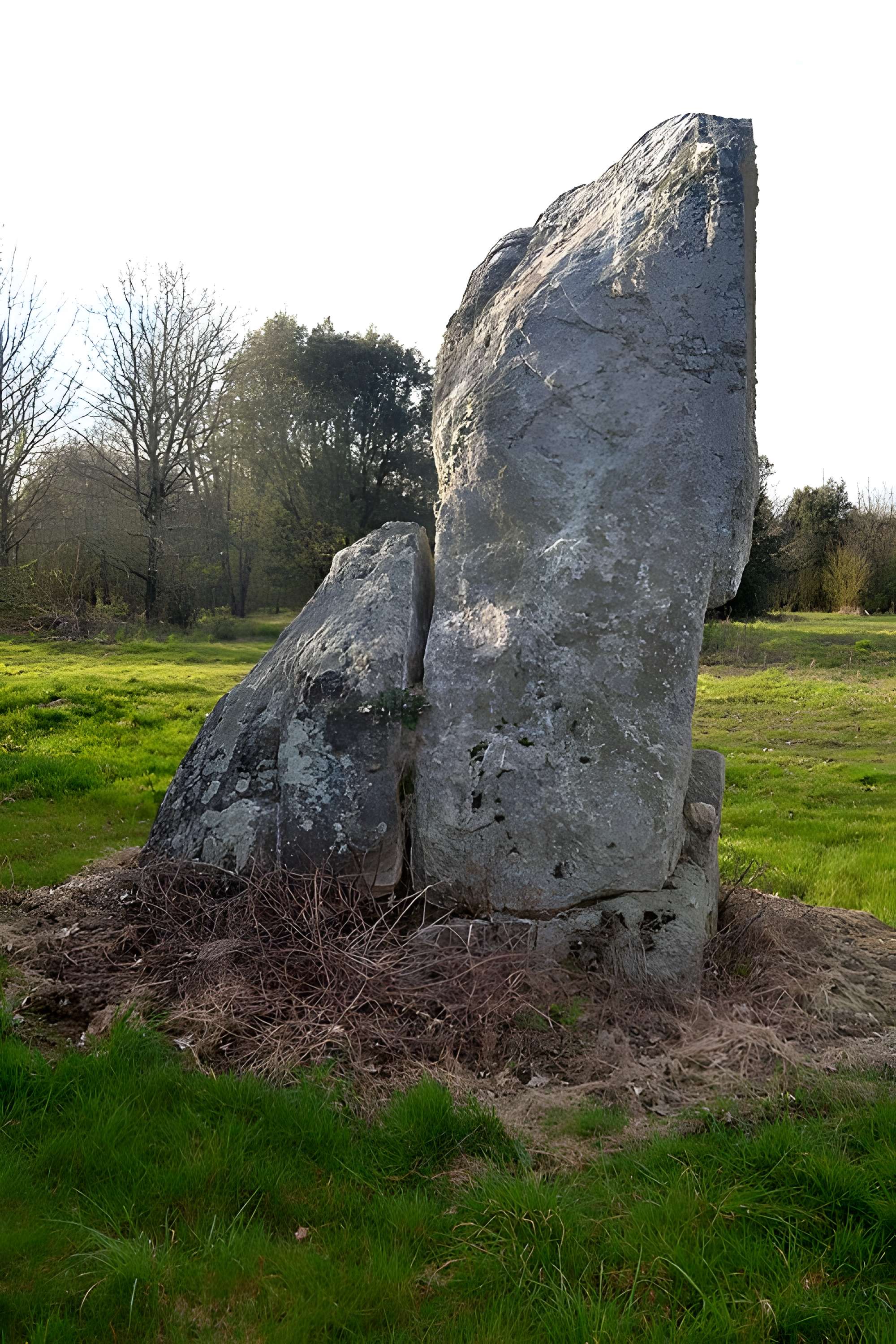 Menhir dit La Minche du Diable de Vairé