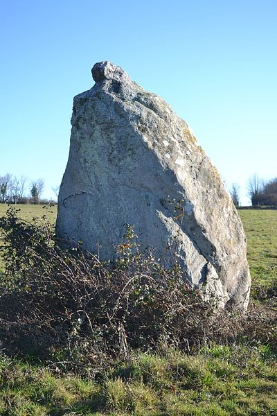 Photo de Menhir dit La Pierre au sel de Maulévrier