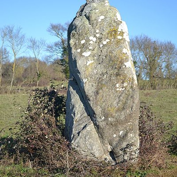 Photo de Menhir dit La Pierre au sel de Maulévrier