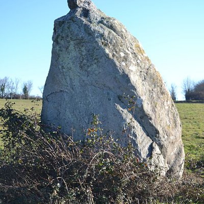 Photo de Menhir dit La Pierre au sel de Maulévrier