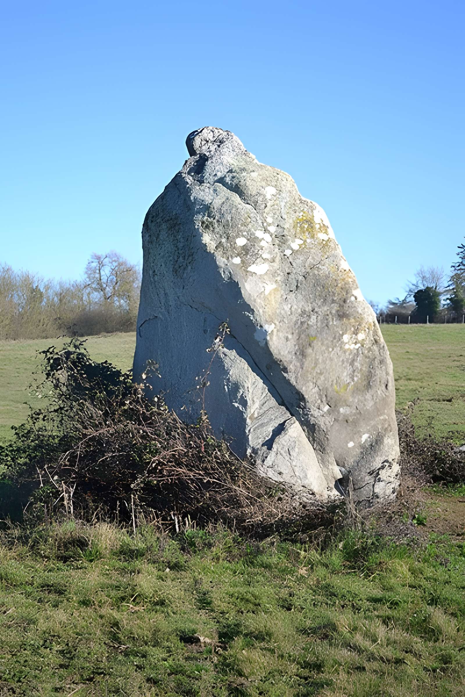 Menhir dit La Pierre au sel de Maulévrier