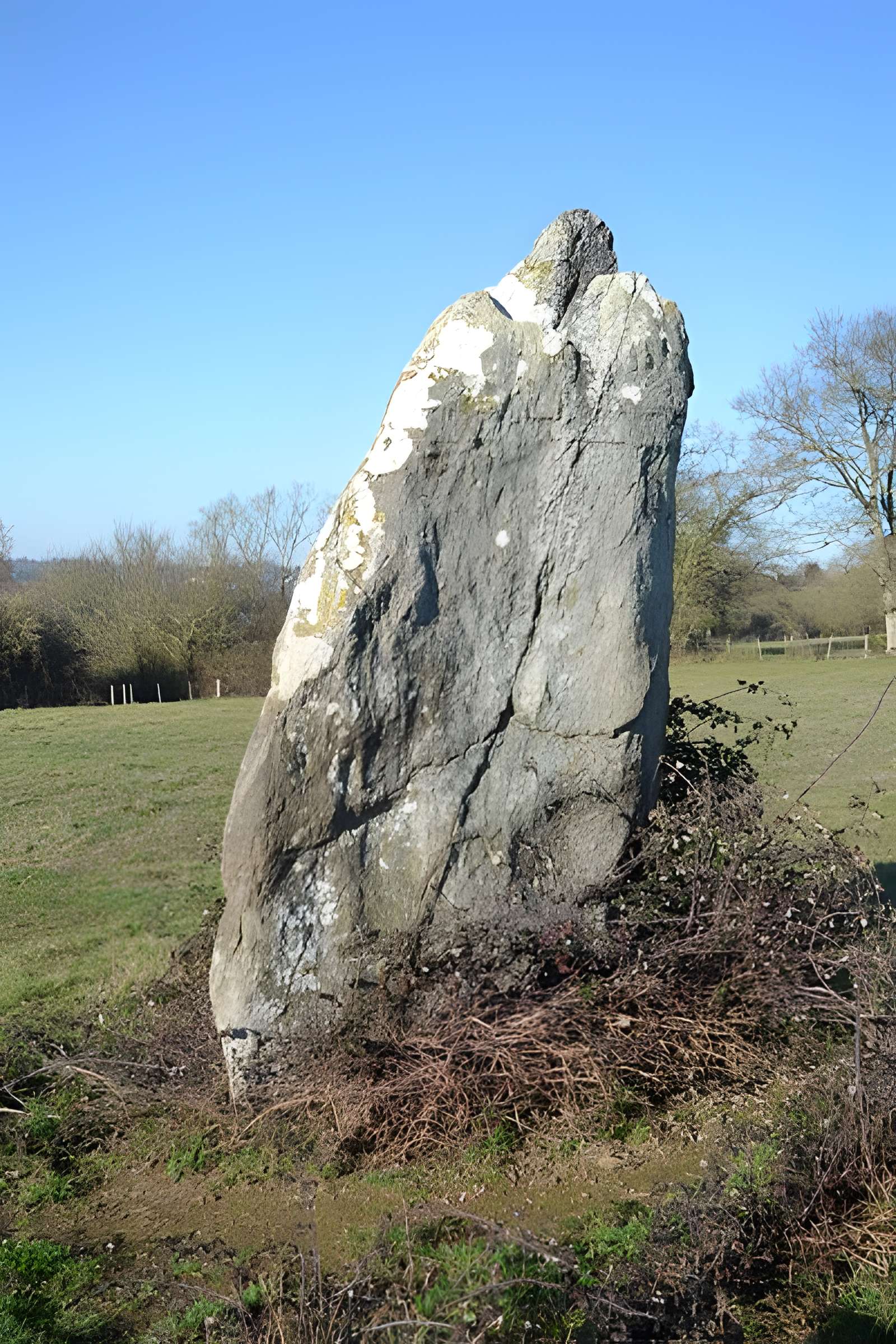Menhir dit La Pierre au sel de Maulévrier